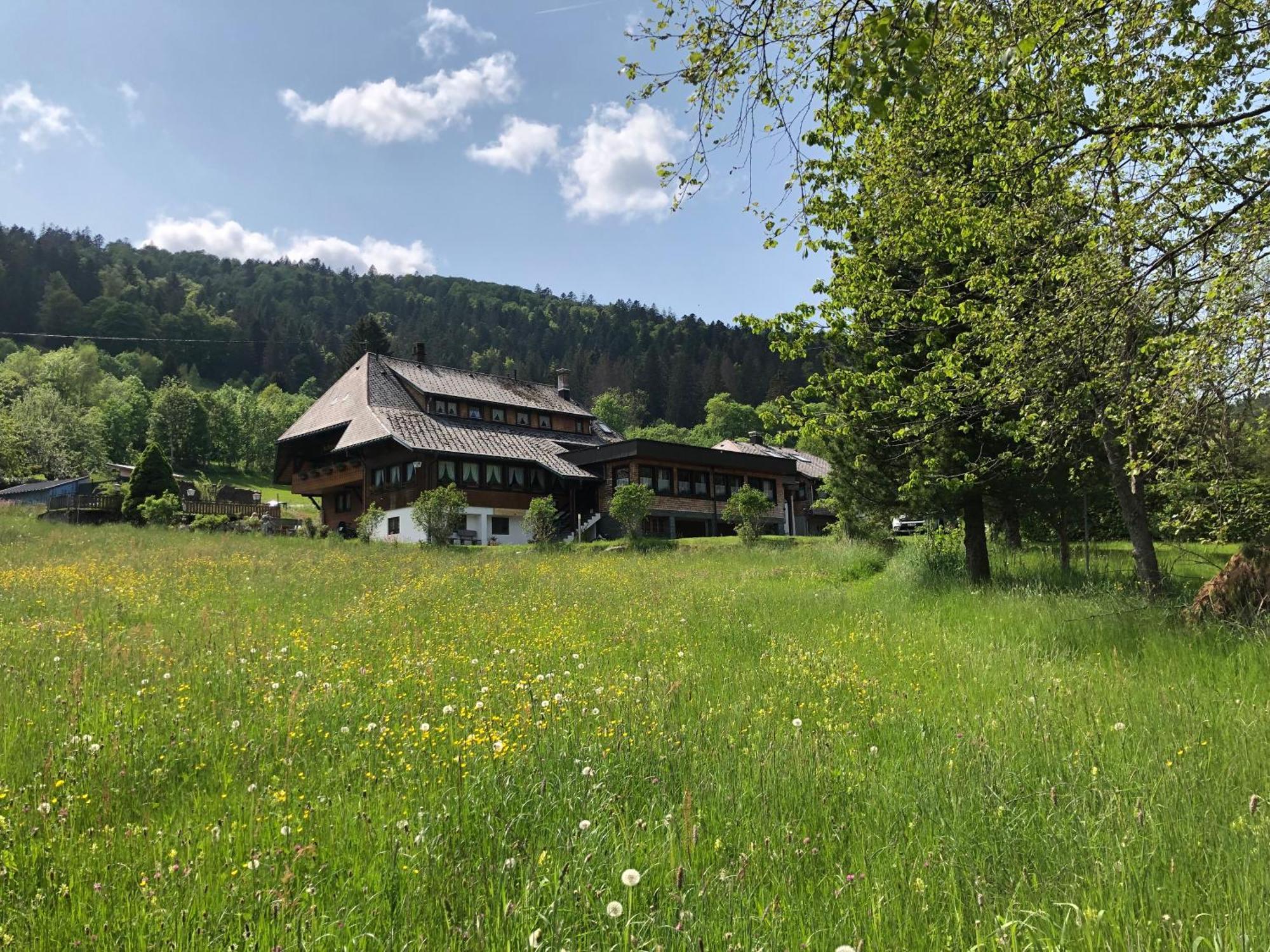 Das Schwarzwaldhotel Todtmoos Exterior photo